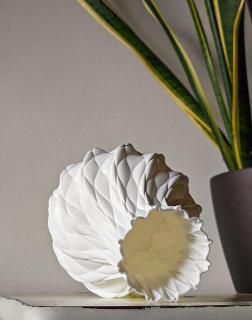 The Conch Vase - Image 4