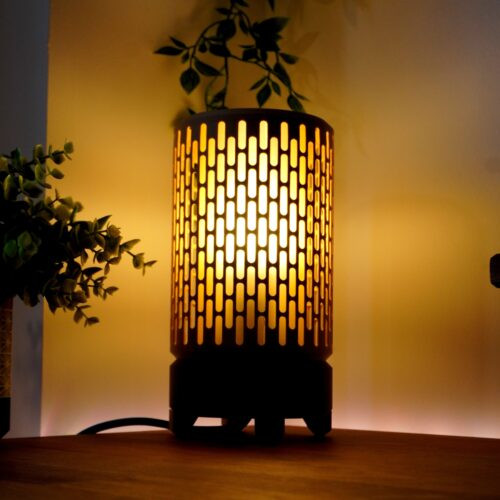 DSC03886 (1)